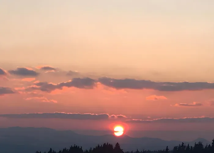 Maison Lilas Rose 300m² 12 P Holiday home *